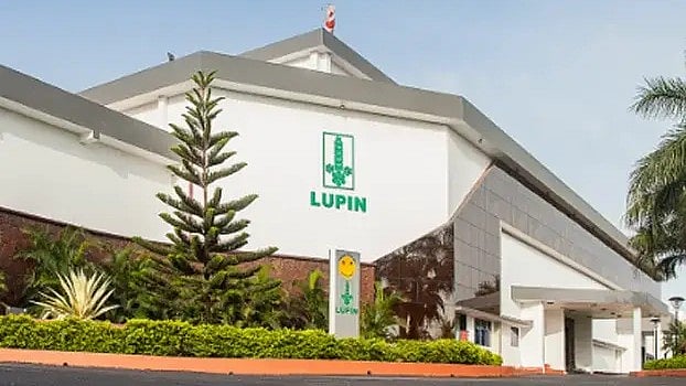 Lupin
