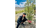 KAI India Supports Environmental Conservation Initiative In Ladakh Through Forest Art Festival KAI India Supports Environmental Conservation Initiative In Ladakh Through Forest Art Festival