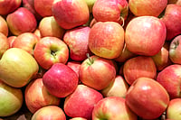 Climate Shocks Devastate Himachal Orchards; Apple Production May Plunge 40 Pc to 4.36 MT in 2026