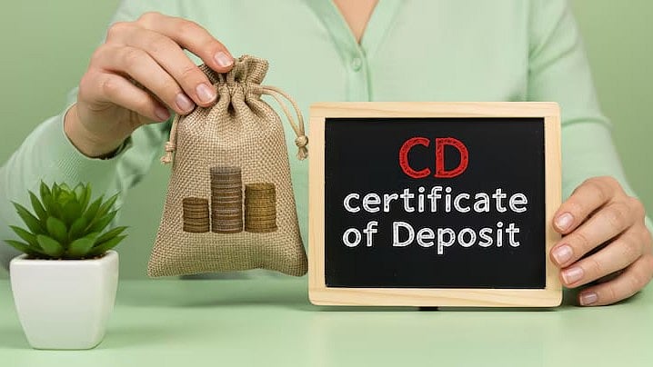 Indian Banks Halt Short-Term Debt Sales On RBI Move - Magnific