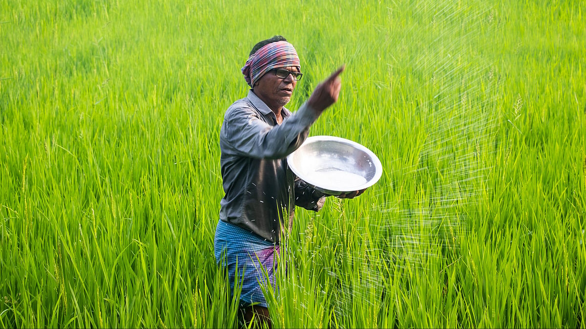 Cabinet May Back New Urea Investment Policy to Reduce Import Bill