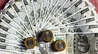 The Indian Rupee 