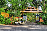 Kairali Ayurvedic Healing Village in Palakkad