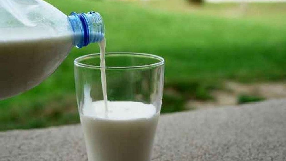 Mumbai Milk Price To Increase By ₹9/Litre From Sept 1, Check New Rate
