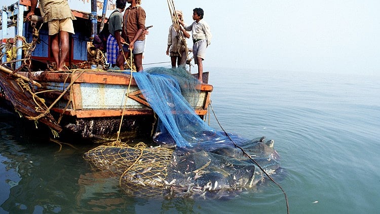 Conservation India