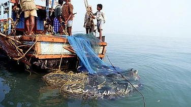 Conservation India