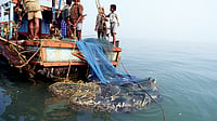 Conservation India : Machhuara Samman Nidhi Yojana Provides Relief To Fisherfolk During Ban Season