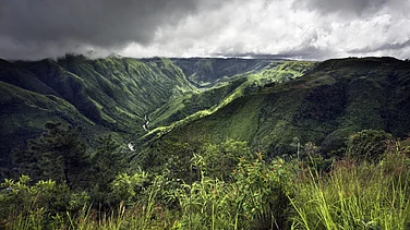 Meghalaya's Economy Grew 12% In FY'25, Outpacing India's GDP Increase Of 9.7%: CAG
