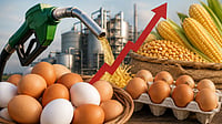 Egg Prices Surge 35-40% In A Year: Why Households Are Cutting Purchases