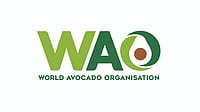 World Avocado Organisation Deepens Its India Focus With 2026 Campaign, Bringing Avocados Closer To Everyday Indian Cuisine! World Avocado Organisation Deepens Its India Focus With 2026 Campaign, Bringing Avocados Closer To Everyday Indian Cuisine!