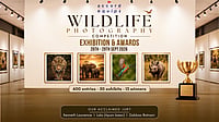 Wildlife Photography Exhibition To Showcase 50 Top Images At Bombay Art Society From September 26 Accord Equips Wildlife Photography Contest to Showcase Top 50 Entries in Mumbai