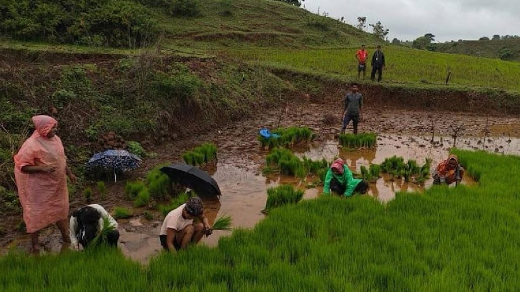 More than 1,50,000 certified organic farmers across more than nine states supply the products listed on COWBERRY’s app. - null