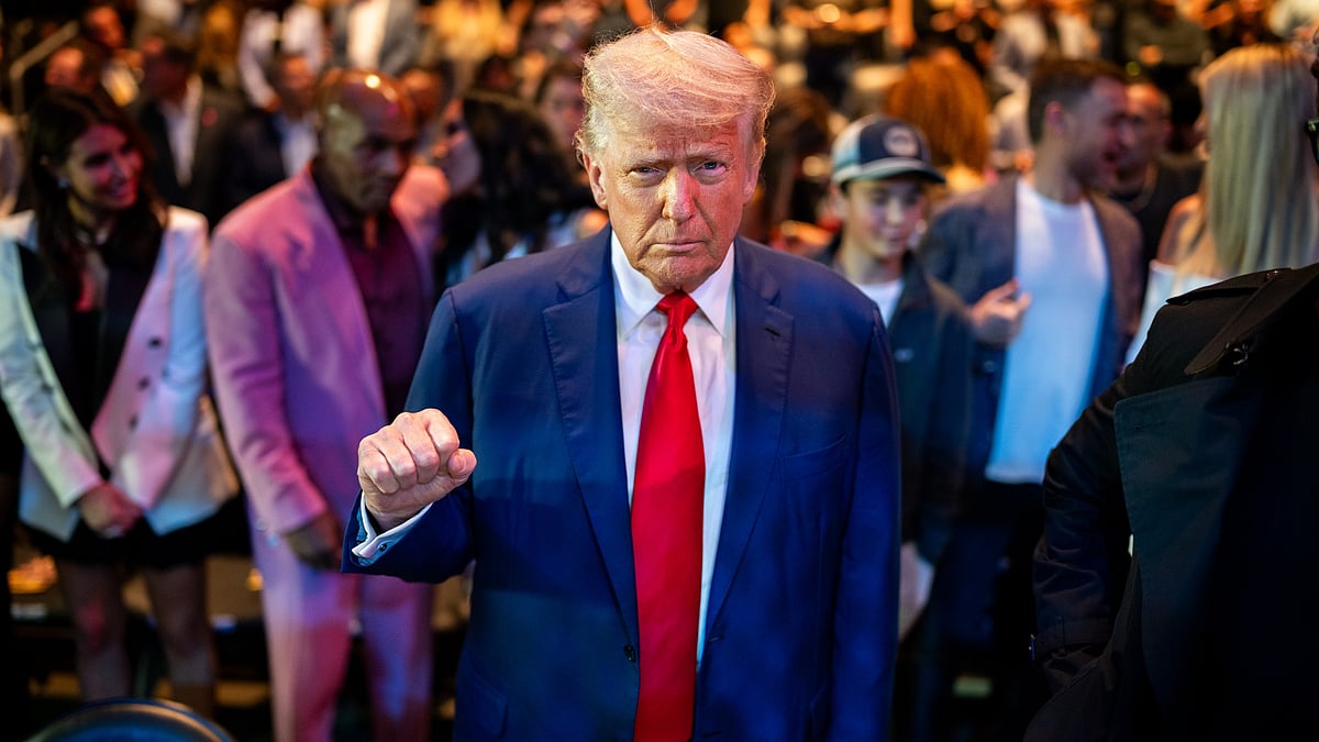 US President Donald Trump - null