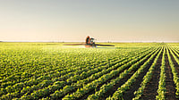 Industry Body ACFI Seeks ₹5,000-7,500 Cr Scheme To Cut Reliance On China For Crop Protection Inputs Crop, Tractor Loans Not Part Of Ex-Gratia Relief Scheme