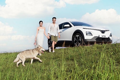 The VinFast VF 6 brings smart, connected mobility to the modern family, combining intuitive technology, advanced safety features and practical ownership benefits for everyday life. - null