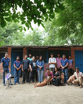 Zigly Foundation’s Community Feeding Initiative Crosses 5,000 Kg Mark, Reaching Dogs Across Shelters and Communities - null
