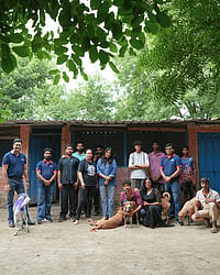 Zigly Foundation's Community Feeding Initiative Crosses 5,000 Kg Mark, Reaching Dogs Across Shelters And Communities Zigly Foundation’s Community Feeding Initiative Crosses 5,000 Kg Mark, Reaching Dogs Across Shelters and Communities