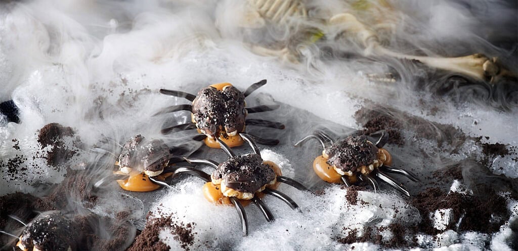 Caramel and California Walnut Spiders

 - null