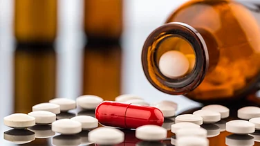 Bengal Chemicals Plans ₹150 Crore Anti-Snake Venom Plant In Bengal After 15-Yr Gap