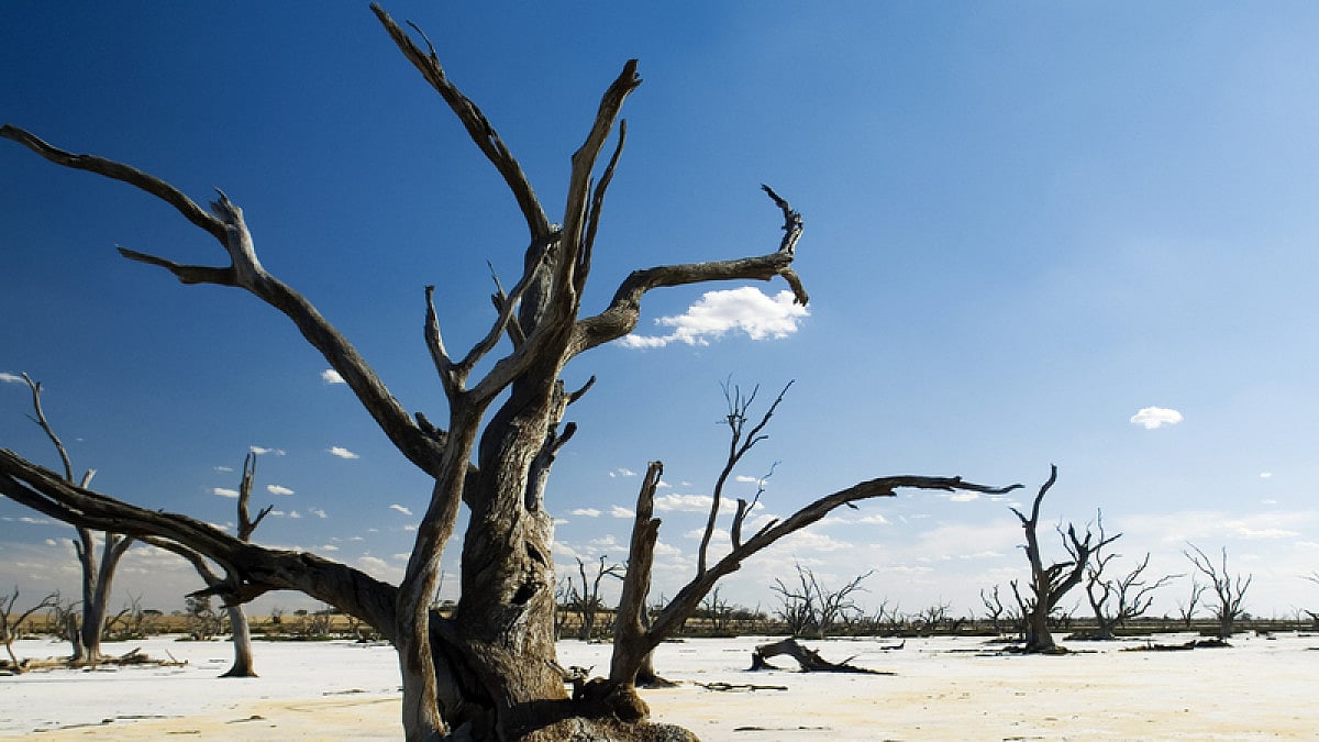 The richest 10 per cent of global population emits nearly 48 per cent of global emissions in 2019. 