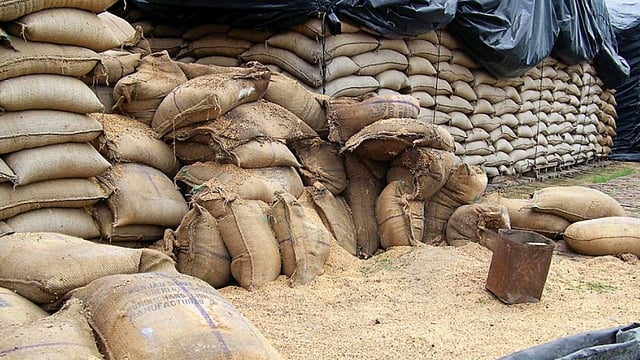  Centre For Second PLI Scheme For Processing Millet-Based Foods: Food Processing Secretary
