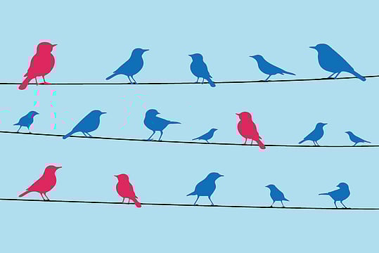 The India Growth Story Is Half Told Without Women Heroes