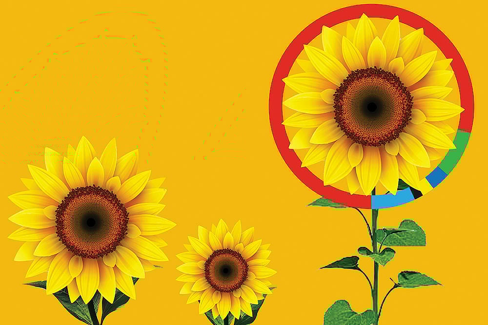 Outlook Description : Outlook Image