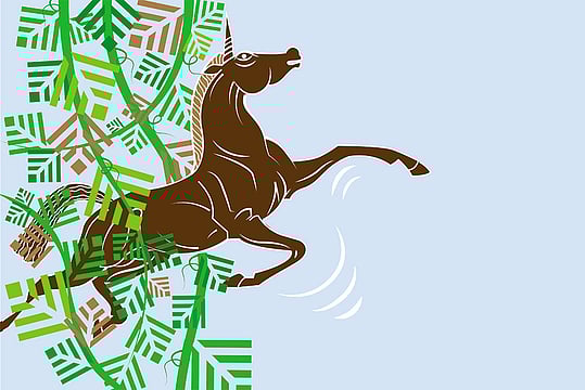 Sequoia Stuck Between Start-Up Frauds And Controversies