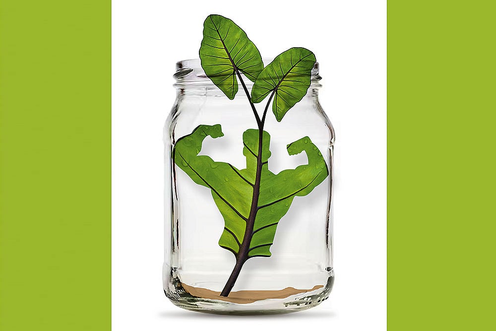 Outlook Description : Outlook Image