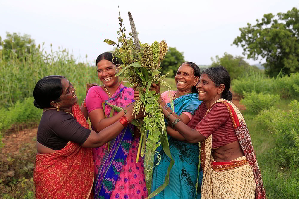 Outlook Description : Outlook Image