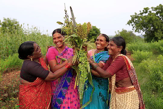 India's Millet Metrics