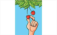 Outlook Description : JK Marks Maiden Export of Premium Cherries, Plums to Singapore