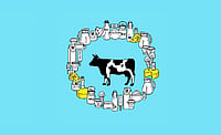 Milking it right Outlook Description : Outlook Image