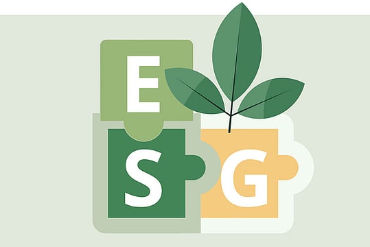 Sustainability or Profit: That is the Long and Short of ESG Puzzle for Businesses