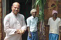 The perfect harvest Outlook Description : Outlook Image