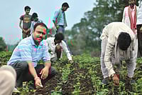 Income and bonus Outlook Description : Outlook Image