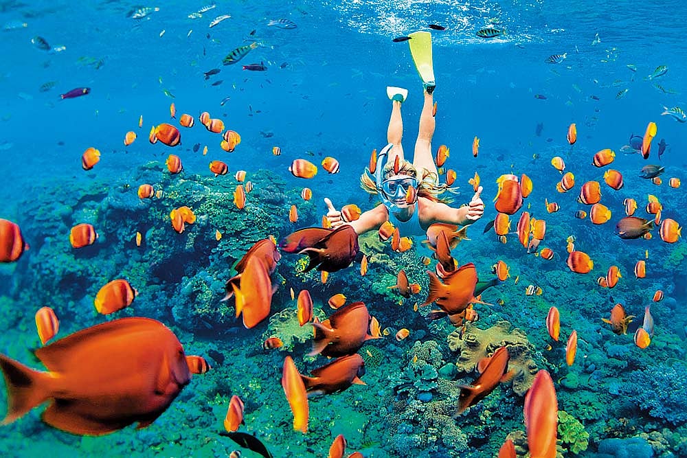 Outlook Description : Outlook Image