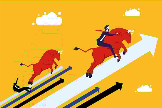 Greed Over Fundamentals: The Investor's Folly