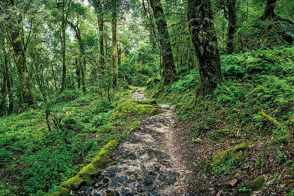 Outlook Description : Outlook Image