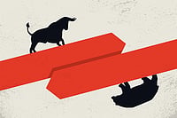 Is it time to get off the equity gravy train? Outlook Description : Outlook Image