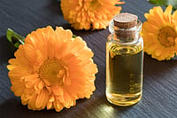 Will AVT Natural Products be back in favour? Outlook Description : Outlook Image