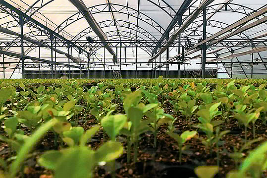 Growing Agritech, Stagnant Farmer Income