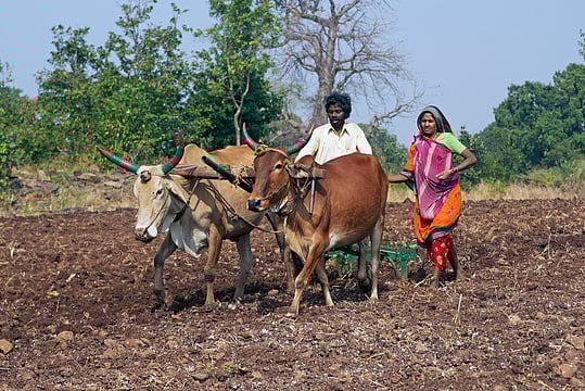 Model Gaon Project key To Rural Development, Making Developed Nation, Says UP Govt Official