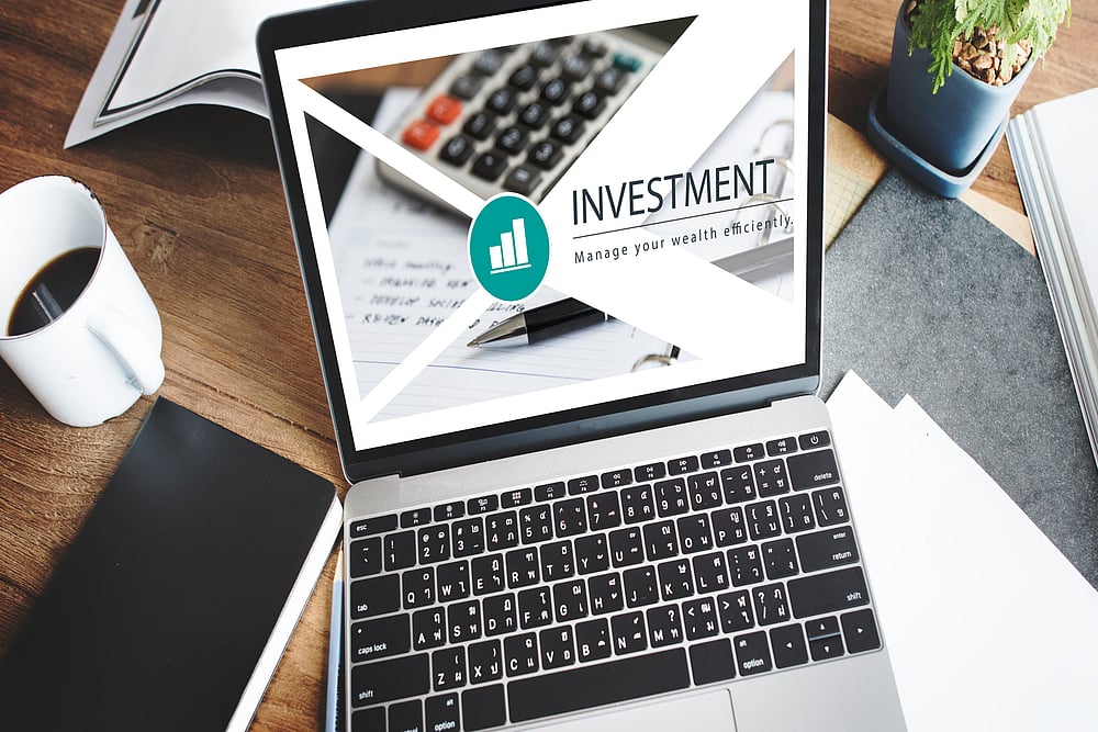 Options Available In The Fixed Income Investment Category