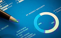 Diversified Stock Portfolio Is The King