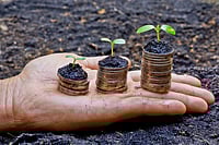 Paving The Way For Holistic Growth