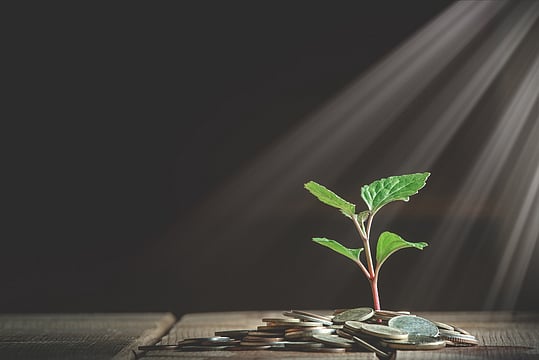 MF Industry Assets Base Rise 12% On Rebound In Markets