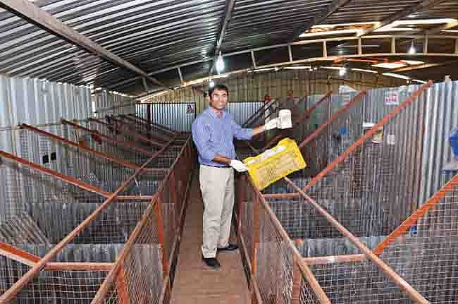 Doing good while doing business