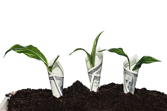 A Beginner's Rulebook to Avoid Mistakes in Investments