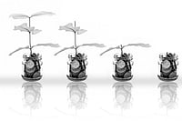 Risk vs Benefit: Complete Guide to Corporate & Bank FDs Risk vs Benefit: Complete Guide to Corporate & Bank FDs